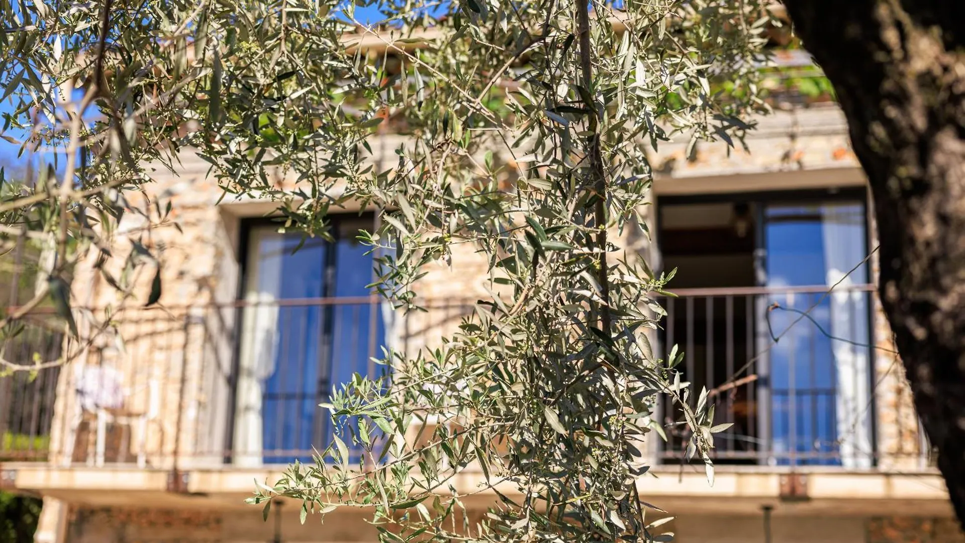 Le Petit Mas Villa Vence